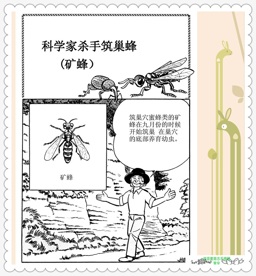 昆虫记法布尔动画片,昆虫记法布尔全套