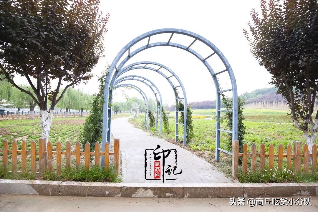 商丘师范学院里面的文化底蕴,在商丘的真实感受