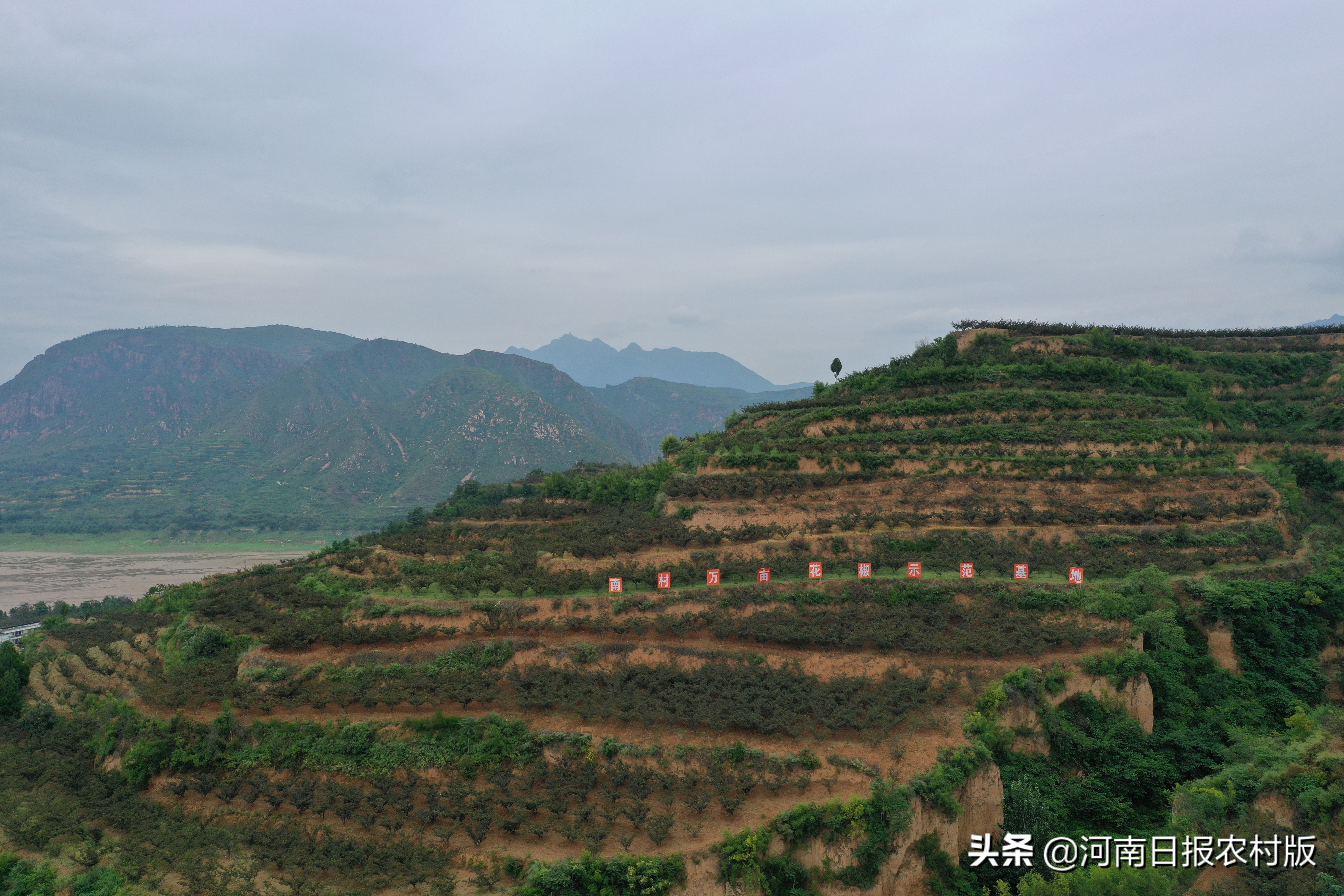 沿着黄河看风景,沿着黄河看对岸白河