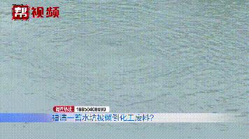 姘寸鏈夎交寰笚姘磋溅鍐呮湁寮傚懗,钃勬按姹犻噷鏈変竴鑲￠毦闂荤殑鍛抽亾