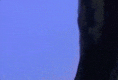 真假成语有哪些,难辨真伪成语是真的吗