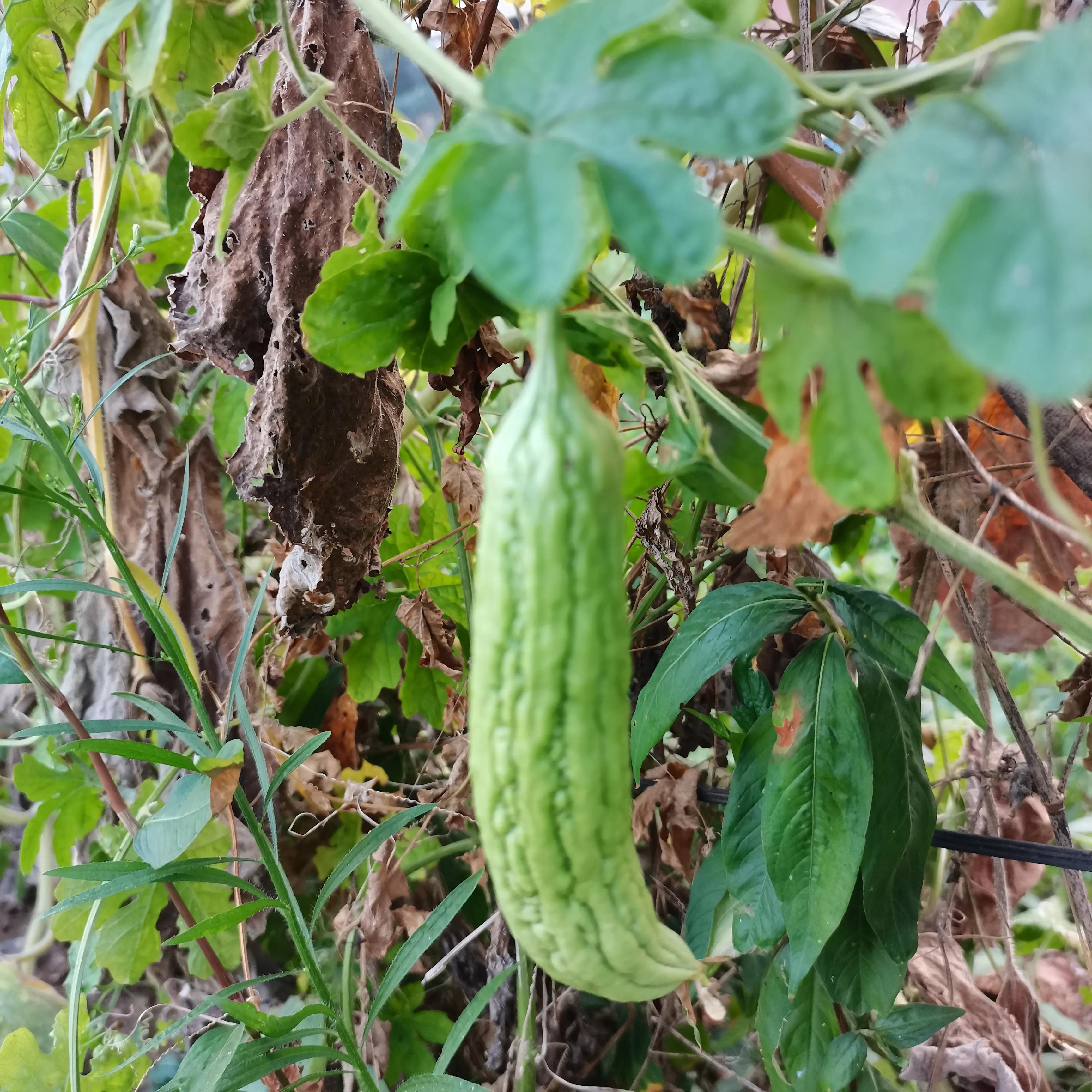 写出你最想从事的职业,请列举出三种你非常感兴趣的职业