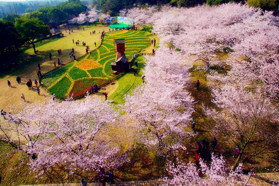 苏州市吴中区旅游景区有哪些,苏州市吴江区七都镇旅游景区