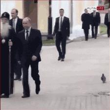 普京执掌俄罗斯20年,普京执掌俄罗斯