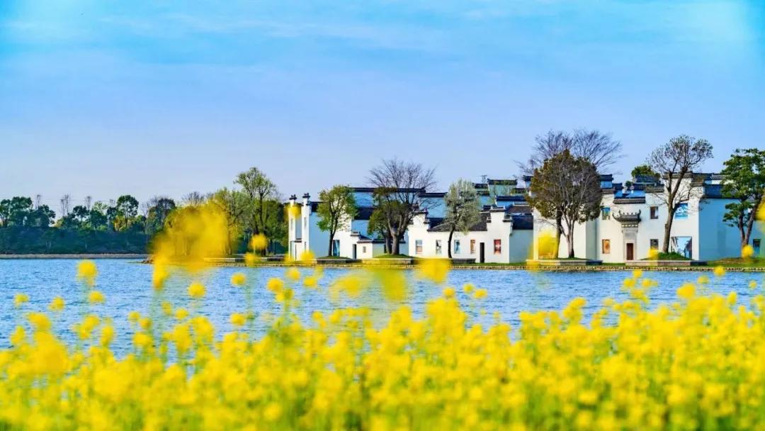 蚌埠城南新建不夜城,引爆旅游市场