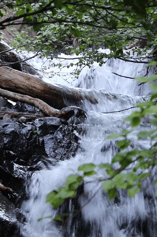 中水毒是什么原因引起的,中水毒了怎么办