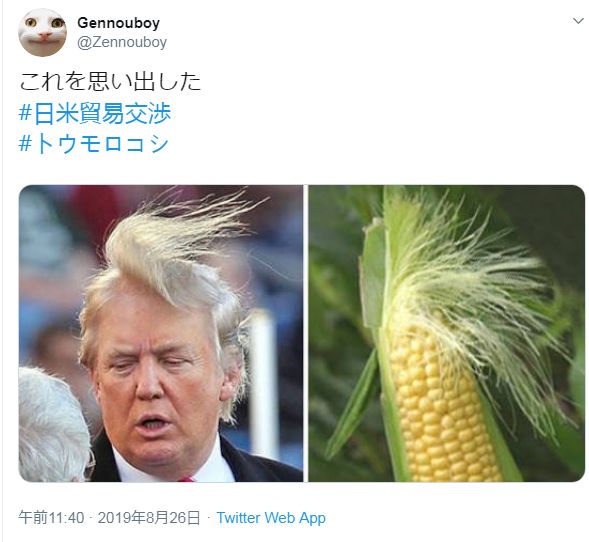 为什么买那么多美国玉米,买美国玉米