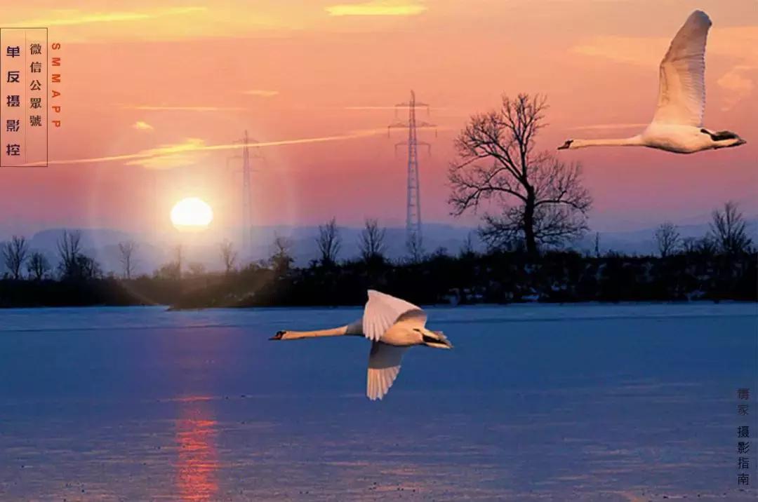 光圈如何设置最佳参数范围,关于光圈你需要了解的几个小常识