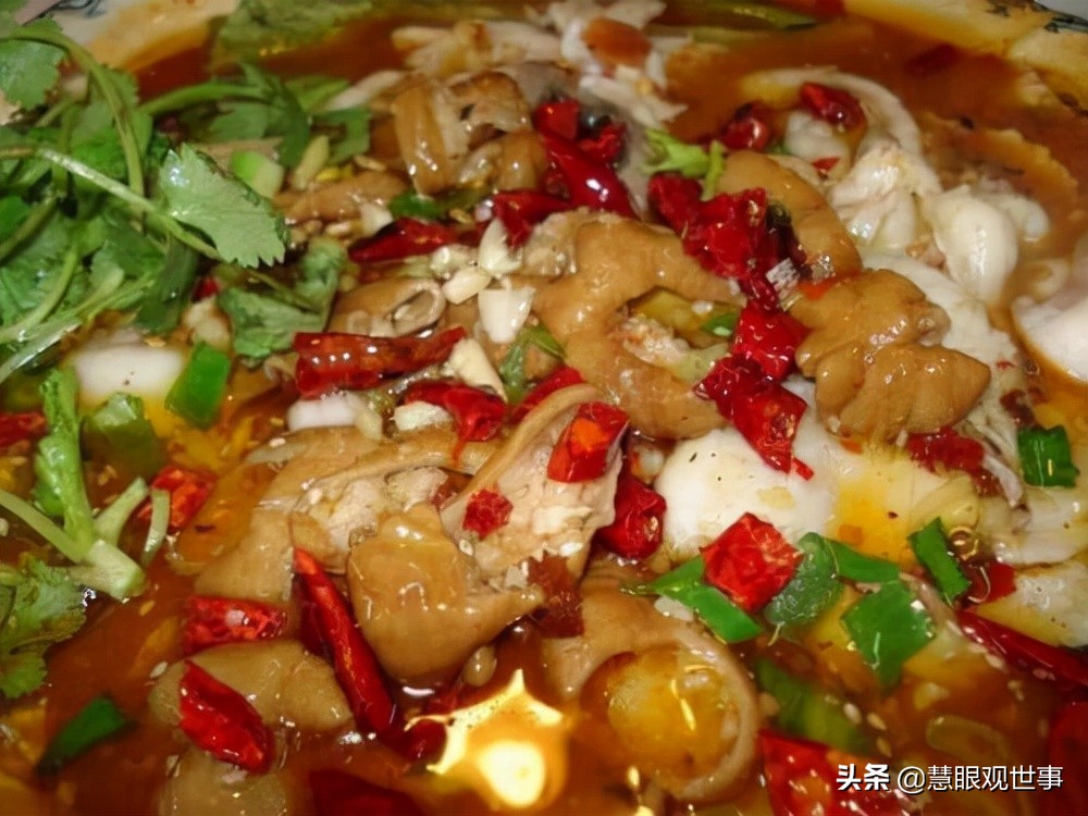 《侯海洋基层风云》中肥肠火锅鱼发生的故事