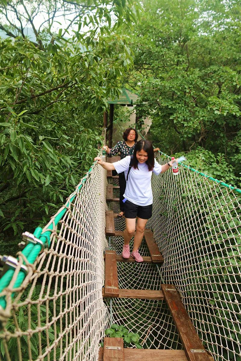 抱犊崮风景区高考门票免费,抱犊崮门票半价政策