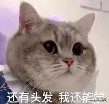 潘南奎被打事件,潘南奎被殴打