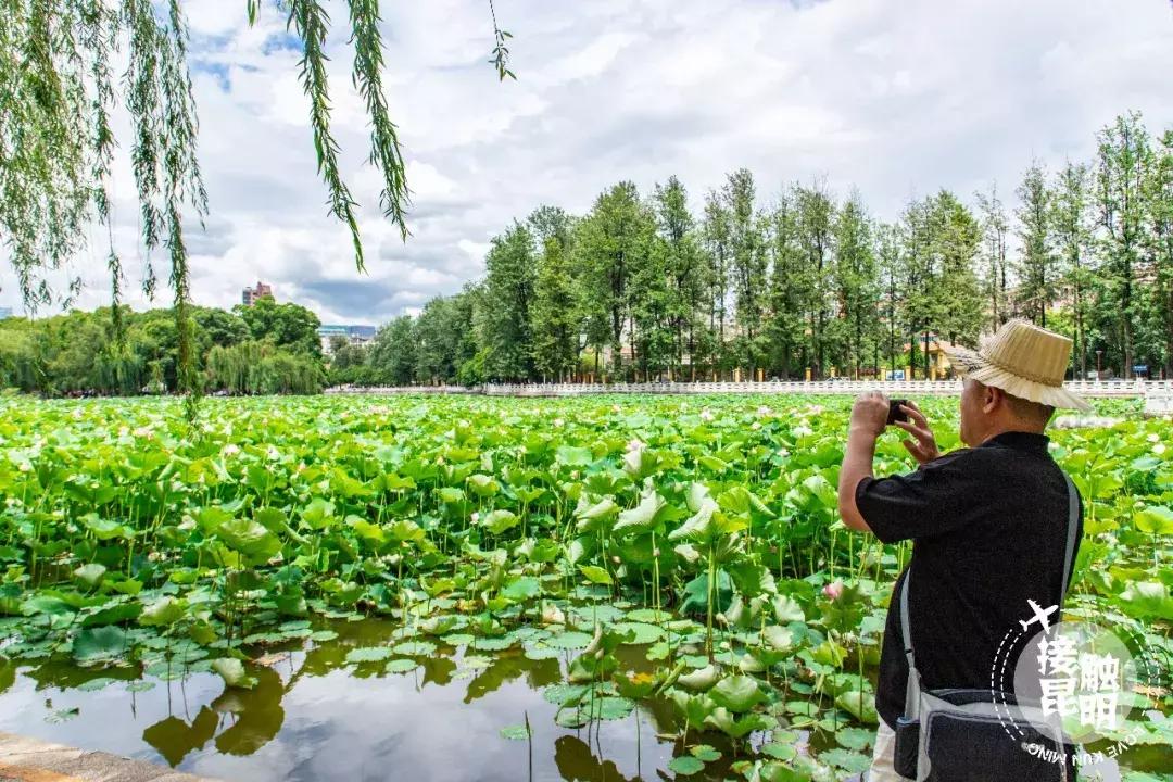 昆明富人住哪个区,住在昆明翠湖是怎样的体验