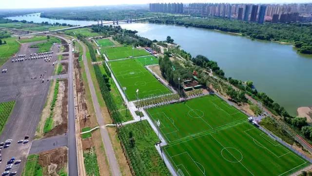 云亚科技文创奖杯|世界青少年足球赛“哥德杯”