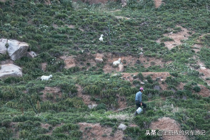 花鸟岛和枸杞岛攻略,海花岛攻略带你玩转海花岛