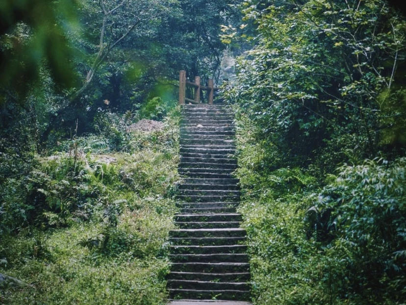 成都露营遛娃抓蝌蚪,成都周边避暑遛娃