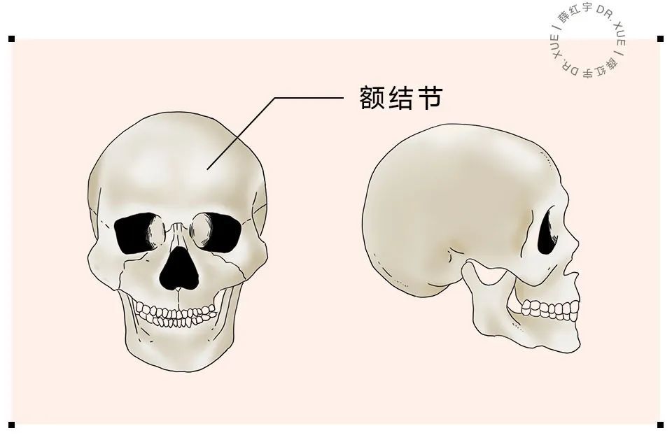 额头饱满跟不饱满一样吗,额头宽太阳穴饱满有什么说法