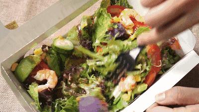 轻食真的有营养吗,轻食真的可以减肥吗