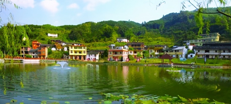 新时代农村生态环境保护,农村生态环境存在的问题及对策