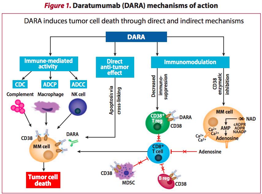 白血病和血癌是突然就有的吗,白血病的发病率在癌症中占第几