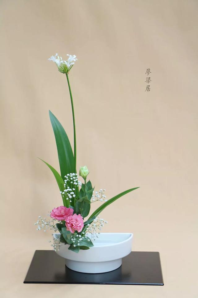 周末去哪儿小说,周末去哪儿玩免费景点