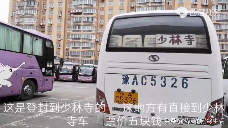 洛阳古都氛围感视频,洛阳古都风情介绍