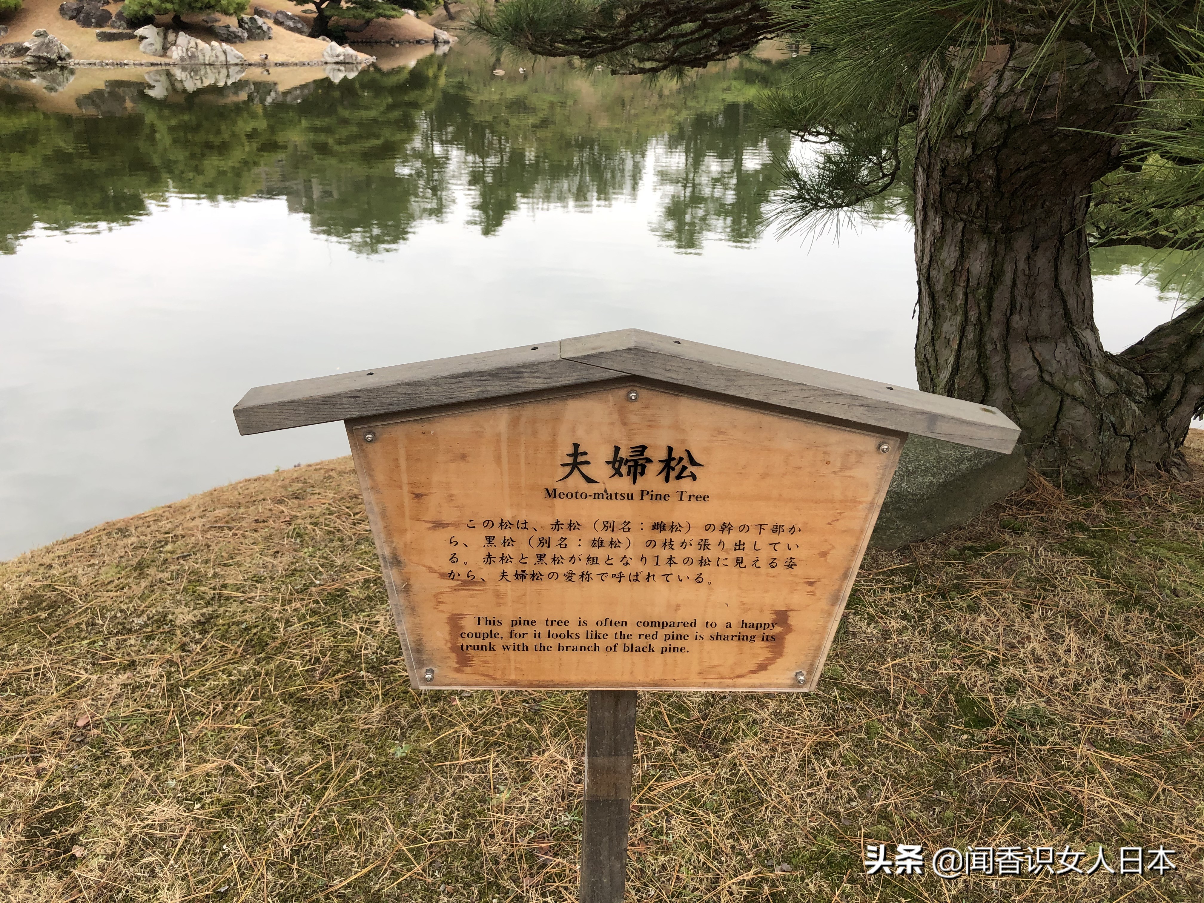 日本的米其林三星餐厅,日本米其林三星参观