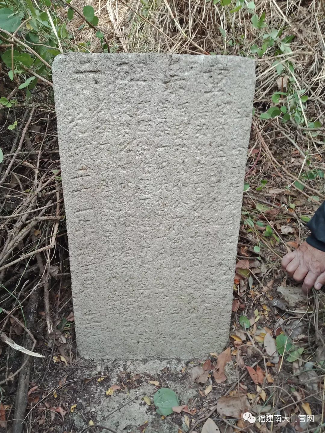 诏安:忆高坑江鱼往事