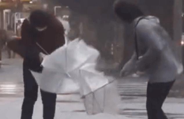 天堂伞质量排名第一名,天堂伞质量排名第一