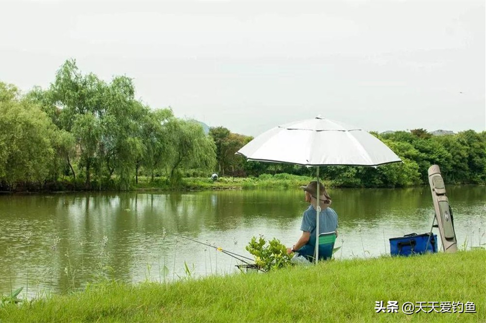 秋季钓鱼不空军和什么搭配,初夏夜间钓鱼技巧选钓位和时间