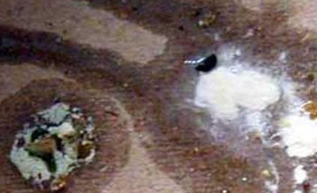 鸭子拉白色条粪便怎么治疗,鸭子拉白色的屎不吃东西怎么办