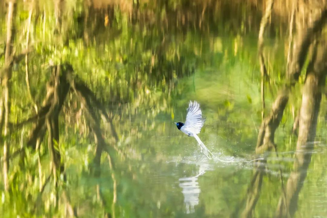 香港第14届全国摄影艺术展,第29届全国摄影艺术展览获奖名单