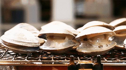 比顺德潮汕还生猛的海鲜之城，好吃到打个飞的也要去一趟