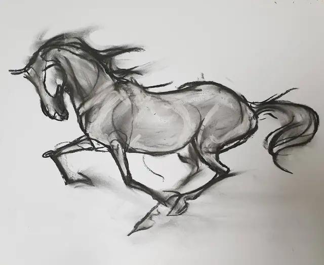 马怎么画简单图画,马怎么画更真实