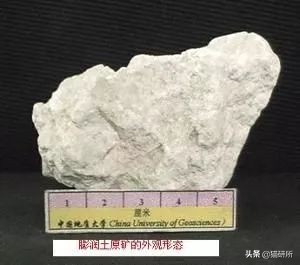 猫砂的100个常识,猫砂成分能被什么反应掉