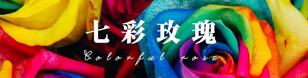 花店常用玫瑰花品种大全,一篇文章带你认识三亚40种花