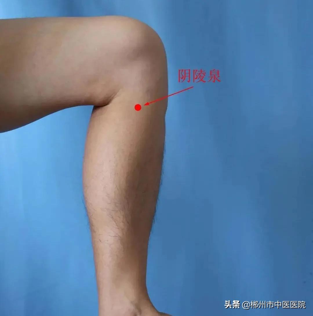 减肥何须心灵鸡汤,减肥何须饿肚子