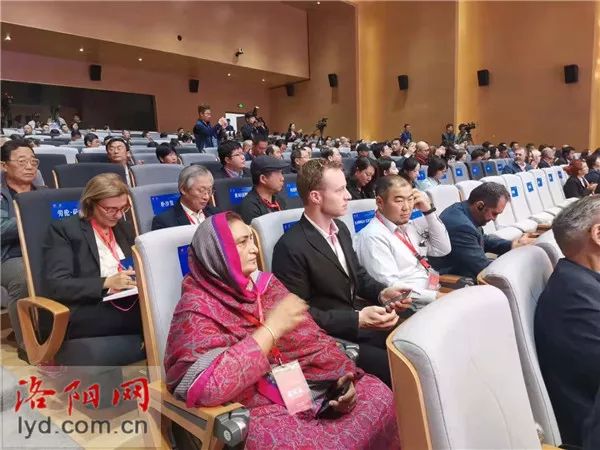 洛阳夏都区,洛阳王城公园盛况