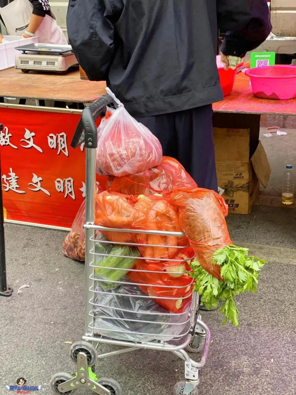 沈阳值得去的10个地方,沈阳最值得去的10个地方