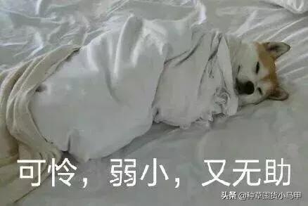 天猫卖假货案例,天猫涉嫌出售劣质商品下架