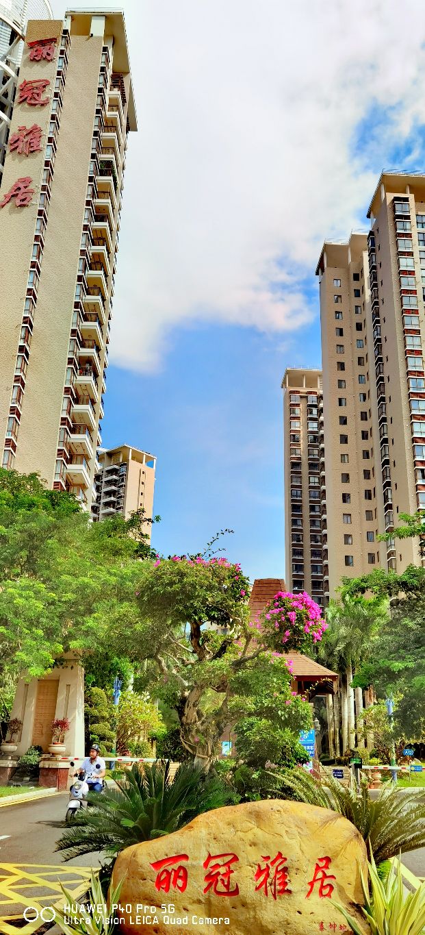 三亚地标性建筑美丽之冠大松树,三亚美丽之冠