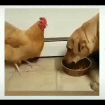 穿恨天高坐地铁的社死现场，两位男士都不忍看这次“崴脚表演”