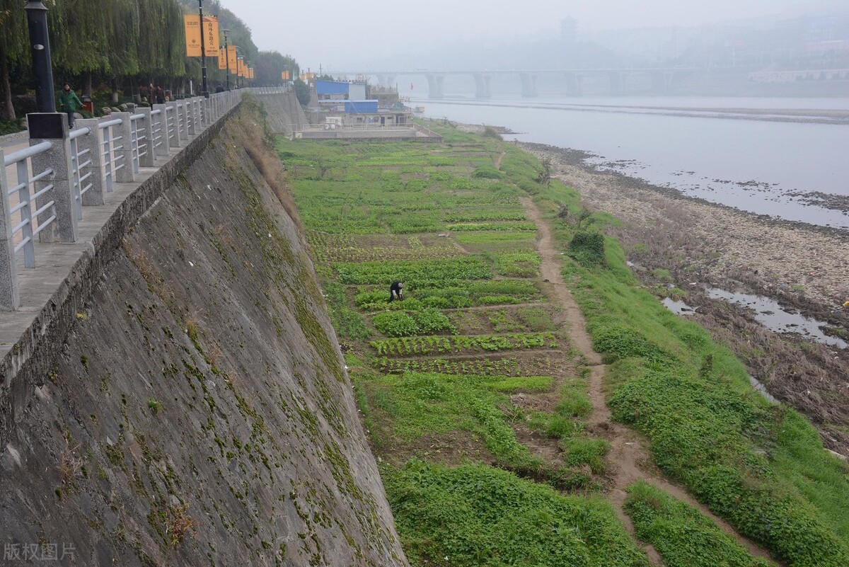水田建房什么时候禁止,农村种地注意哪些风险