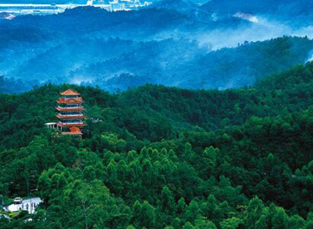 中秋爆惠！新会碧桂园549元=2大2小自助早晚餐+烤羊腿+西游儿童剧