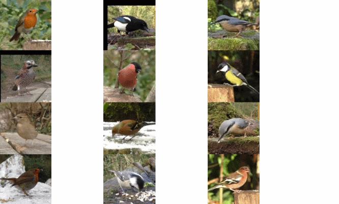 cvpr最佳论文初审得分高吗,cvpr论文哪个最好