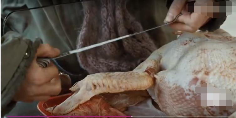 男孩背后长了一只翅膀,男孩身上长了一对翅膀是什么电影