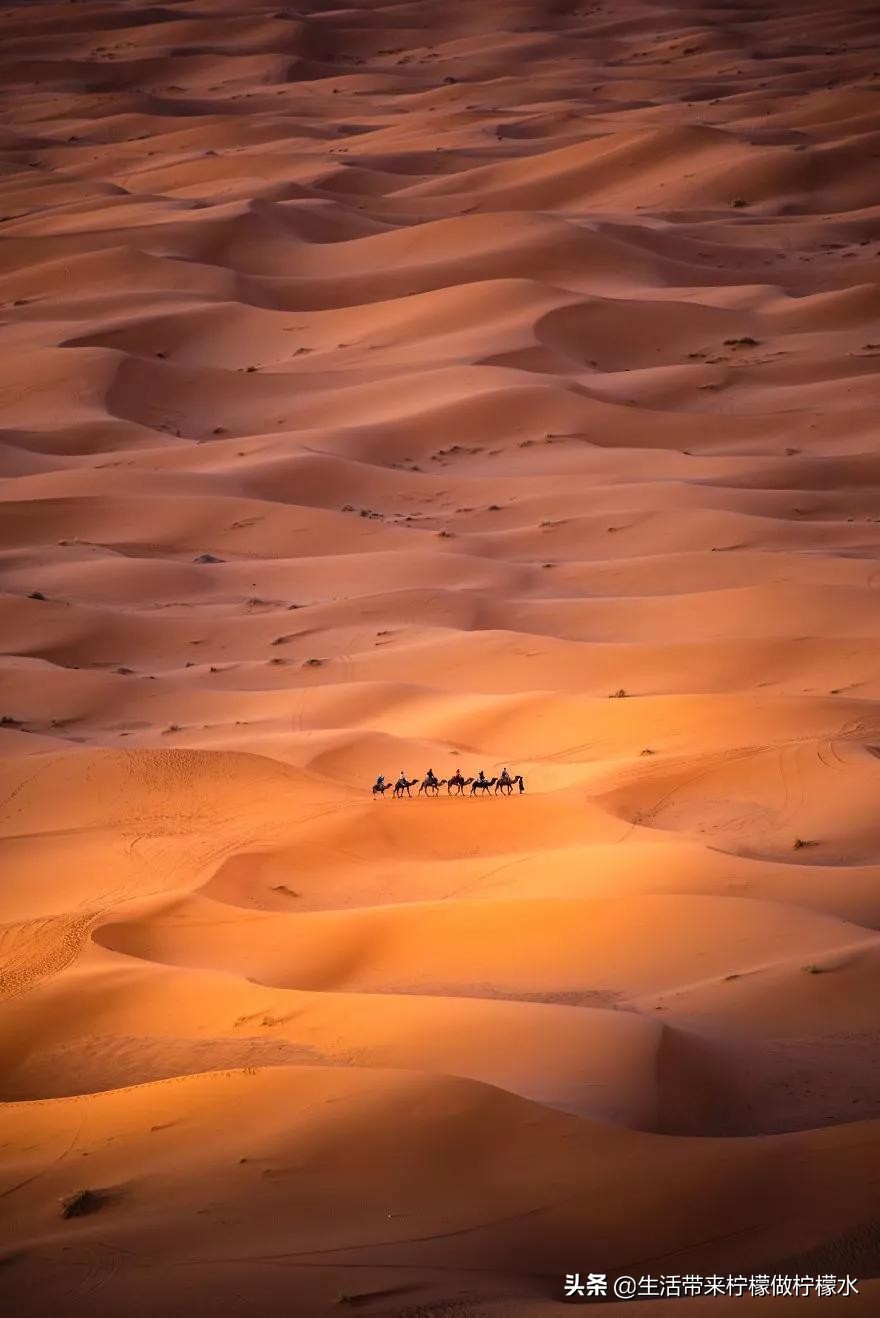 最震撼的34张照片美遍朋友圈,500张最美照片