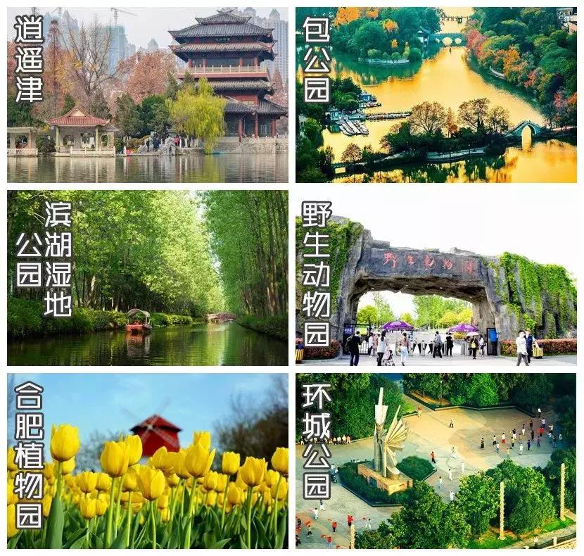 合肥目前全国排名第几,安徽合肥在全国的排名