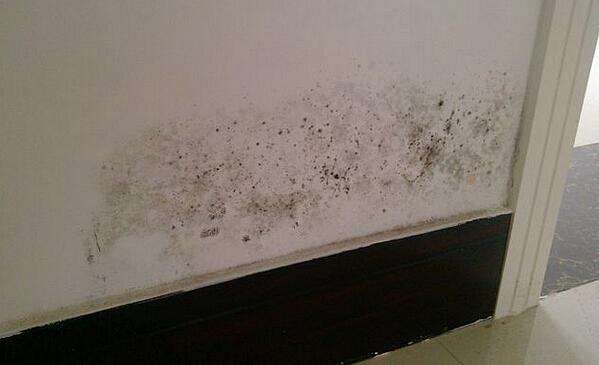 墙面被孩子涂鸦脏了想重新刷大白,墙壁被孩子涂鸦怎么翻新