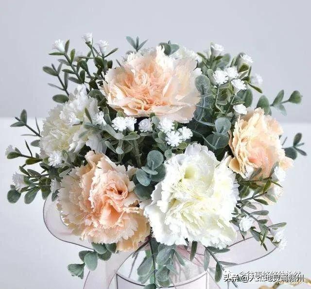 致敬母亲谁言寸草心报得三春晖,谁言三春晖报得寸草心的意思