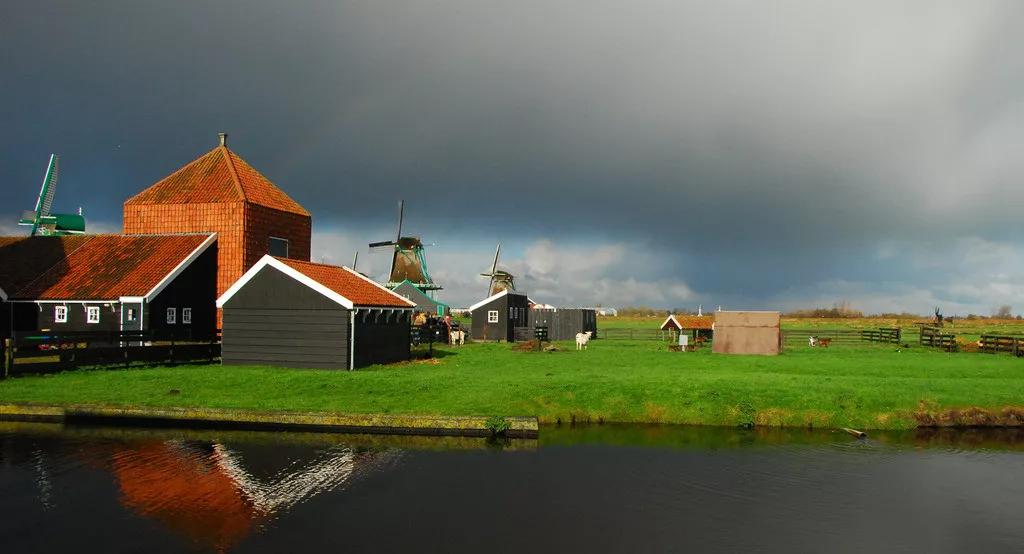 十大建议买的羊奶粉有哪些品牌,羊奶粉哪个牌子的奶质好一点